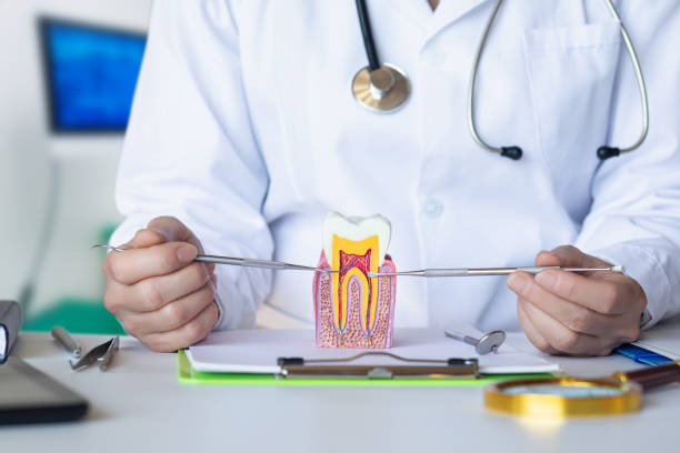 Best Emergency Dental Filling Replacement  in Orfordville, WI